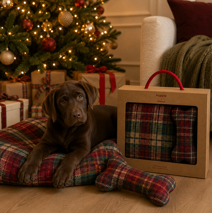 HP Pet Plaid 100x70 + Bone X-Mass Edition - Giftbox