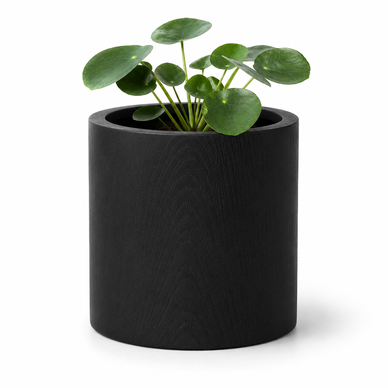 VDK Black Wood Pot Cylinder 18